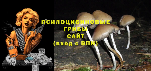 гидропоника Горно-Алтайск