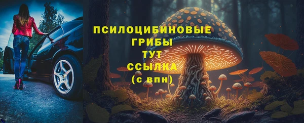 бошки Горнозаводск