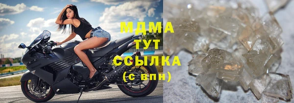 PSILOCYBIN Вяземский