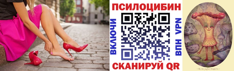 где купить наркотик  Копейск  Псилоцибиновые грибы MAGIC MUSHROOMS 